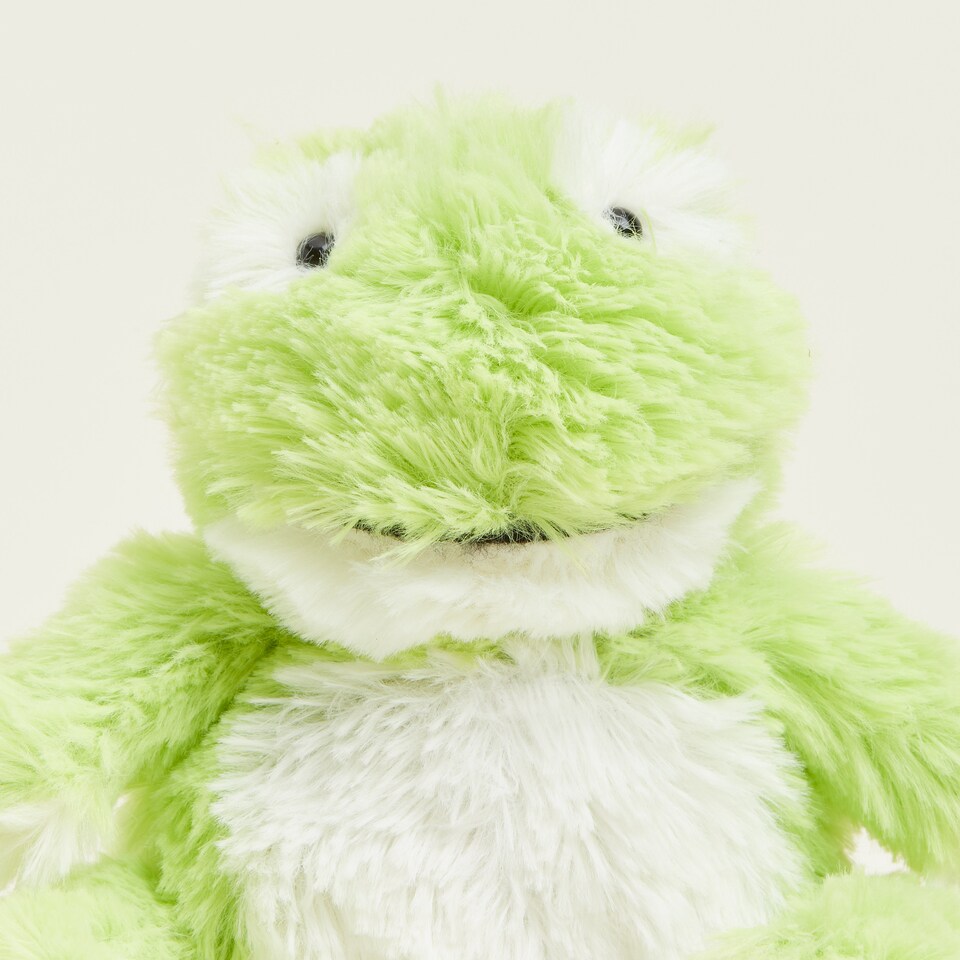 image 1 of Warmies Plush Frog Junior Size, Microwavable Slightly Scented with French Lavender, Fully Heatable Weighted Teddy for Anxiety and Relaxation