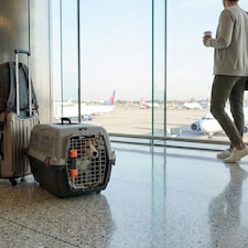 Dog Pet Carrier Transporter Cage - Black & Grey - Large