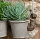 image 3 of Brown Bear Plant Pot Hanger - L10.5 x W5 x H6.5 cm | Bronze