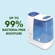 image 3 of Vicks Warm Mist Humidifier
