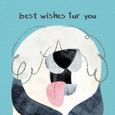 Best Wishes Fur You Dog Greetings Card By Paul Delaney