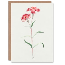 Vintage Japanese Botanical Art Card Nadeshiko Flower