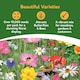 image 2 of Pronto Seed Wildflower Butterfly & Bee Garden Seed Shaker - 25m2 Garden Flower Seeds | Multi | Butterfly & Bee 25m2 | 1