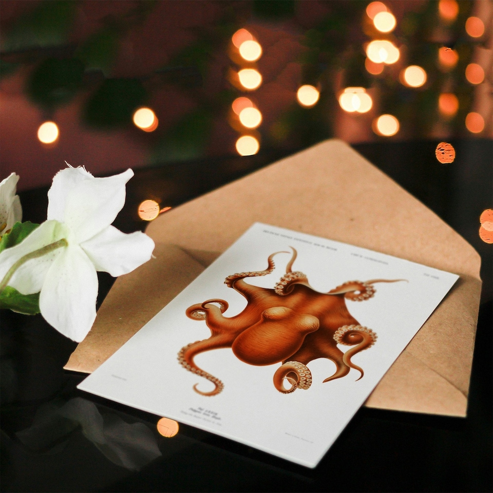 image 1 of Carl Chun Art Card Octopus Vintage Cephalopod Illustration