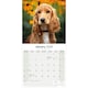 image 3 of English Cocker Spaniel 2026 Calendar | Square Wall Calendar | Dog Breed Gift | Plastic Free Packaging | by Avonside Publishing