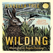 Wilding How To Bring Wildlife Back