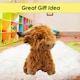 image 3 of Highlands Cow Soft Toy Cute Plushie Huggable Cuddly Stuffed Toy Gift 23cm Brown