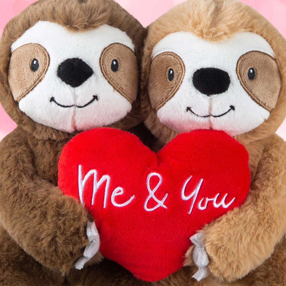 image 1 of PMS 20cm You and Me Sloth Couple Plush Toy - Valentines Soft Toy