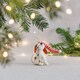 image 2 of Sass & Belle Christmas Felt Dog with Fairy Lights Tree Decoration