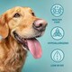 image 3 of Burns Pet Nutrition Hypoallergenic Complete Dry Dog Food Adult and Senior Dog Large/Giant Breed Chicken 12 kg