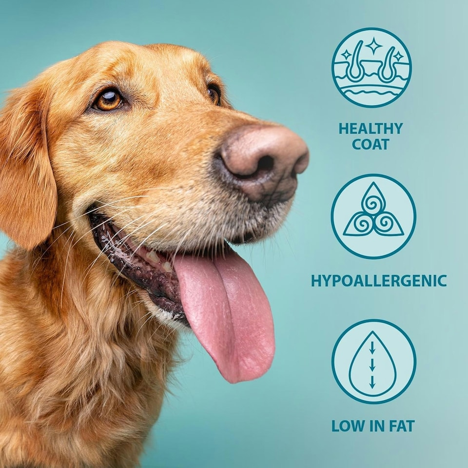 image 1 of Burns Pet Nutrition Hypoallergenic Complete Dry Dog Food Adult and Senior Dog Large/Giant Breed Chicken 12 kg