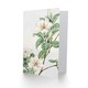 image 2 of Megata Morikaga Art Card Cape Jasmine Vintage Japanese
