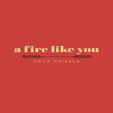 a fire like you Paperback Book