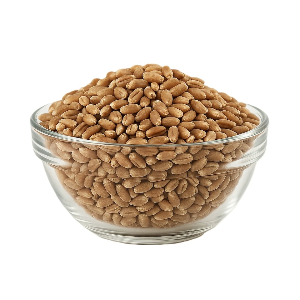 image 1 of Organic Wheat Grain 1kg (Sussex Wholefoods)