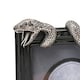 image 5 of Warner Bros Harry Potter Dark Arts Frame - Nagini
