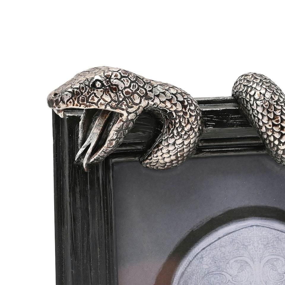 image 1 of Warner Bros Harry Potter Dark Arts Frame - Nagini