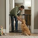 image 8 of Safetots Pressure Fit Self Closing Stair Gate, 111cm - 118cm, Matt Black, Auto Closing Baby Gate, Safety Barrier for Toddler, Easy Installation