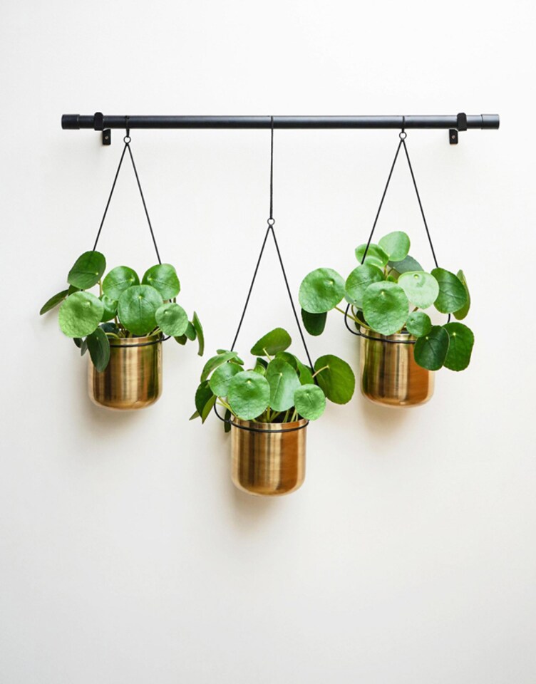 image 1 of Linear Hanging Planters - Metal - L20 x W81 x H90 cm - Black/Gold | Black