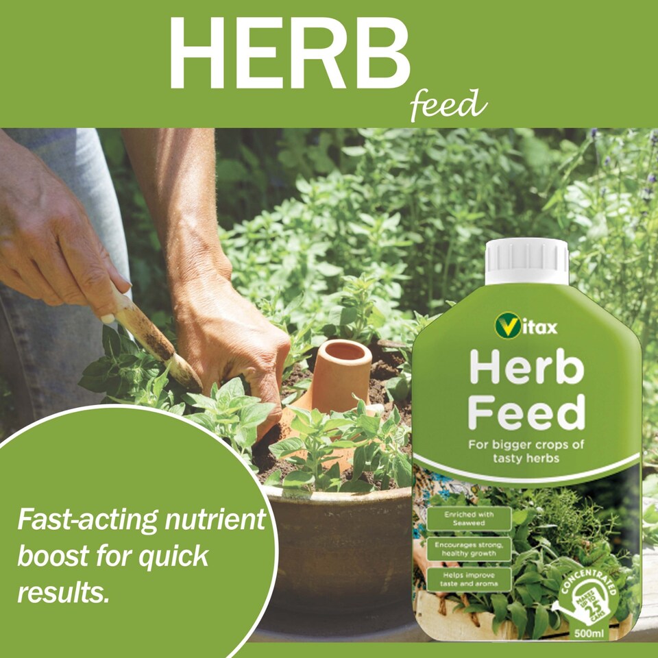 image 1 of Vitax Liquid Herb Feed 500ml Fast-Acting Seaweed Enriched Nutrient Formula for Bigger Healthier Flavourful Herbs