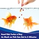 image 4 of Aquarian Goldfish Food Flakes 200g Pack of 6 Aquarium Fish Food Fish Feeding Supplies