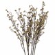 image 1 of Branch in Bloom Filler Artificial Plant - Plastic - L7 x W22 x H109 cm - Green