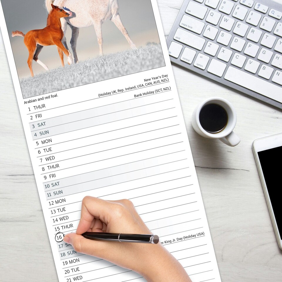 image 1 of Horses Slim 2026 Calendar | Slimline Wall Calendar | Animal Gift | Plastic Free Packaging | by Avonside Publishing [Calendar] Avonside Publishing Ltd