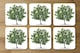 image 2 of Tree (Coaster)