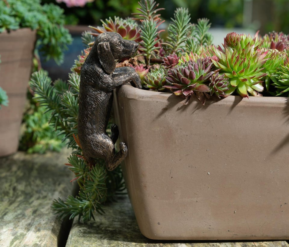 image 1 of Dachshund Plant Pot Hanger - L10.5 x W5.5 x H5 cm | Bronze