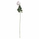 image 1 of Palest Tea Rose Artificial Flower - L5 x W7 x H65 cm - Pink