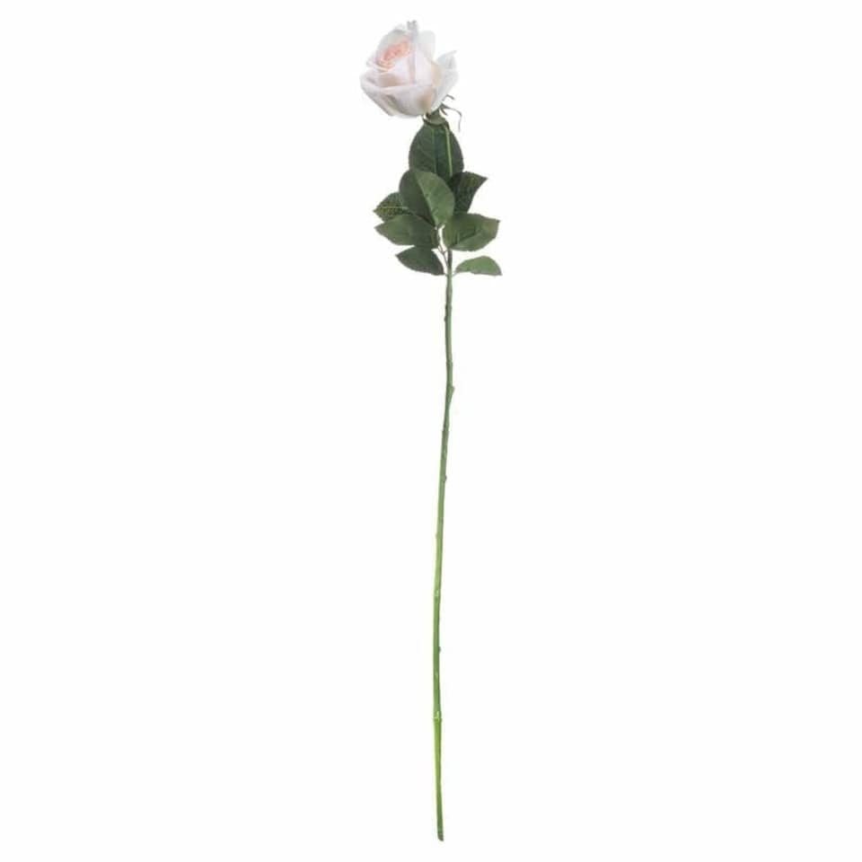 image 1 of Palest Tea Rose Artificial Flower - L5 x W7 x H65 cm - Pink