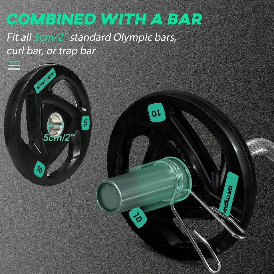 image 1 of SPORTNOW Two 10kg Olympic Weight Plates for Barbell, with Tri-Grips