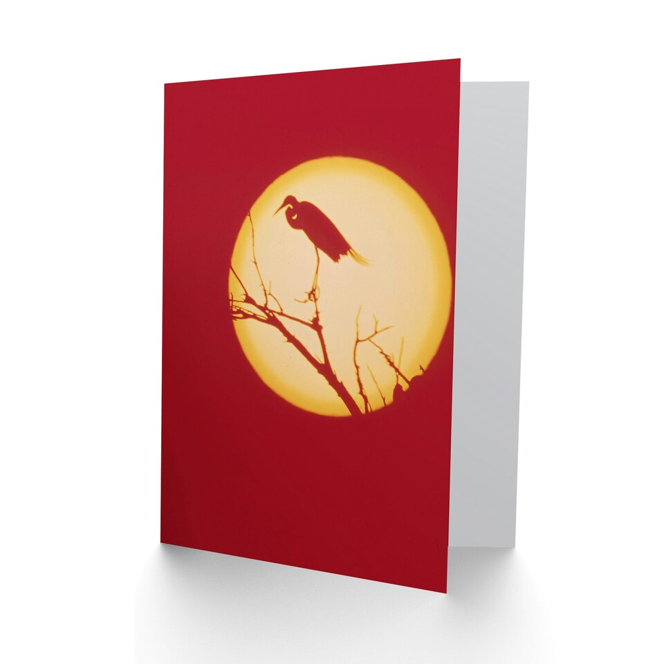 image 1 of Crane Silhouette Against Full Moon Red Design Birthday Card