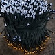 image 5 of 600 LED 60m Indoor Outdoor Christmas Multi Function Battery Operated String Lights with Timer in Cool & Warm White