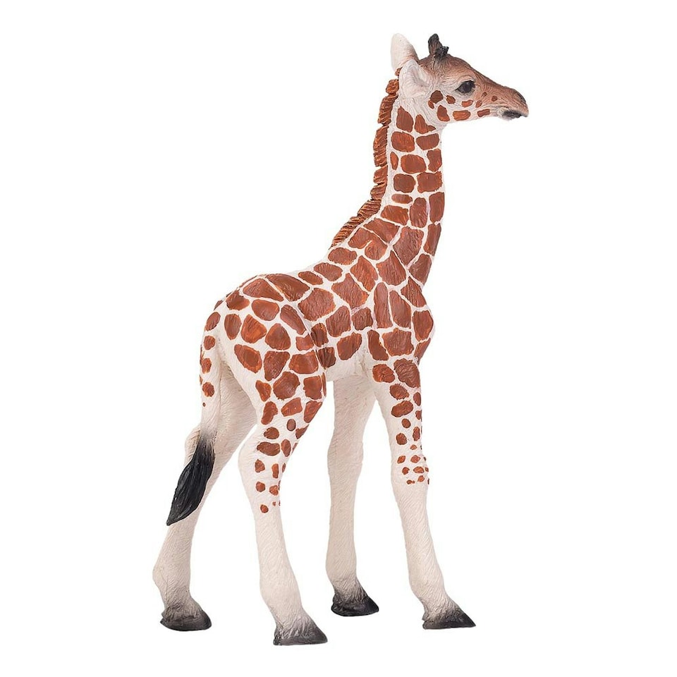 image 1 of MOJO Wildlife & Woodland Giraffe Calf Toy Figure, Brown (381034)