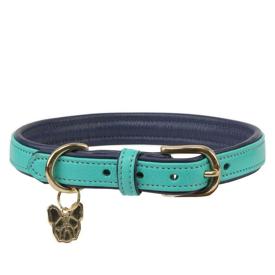 Digby & Fox Leather Padded Dog Collar - Aqua - M - Neckline: 41cm-46cm