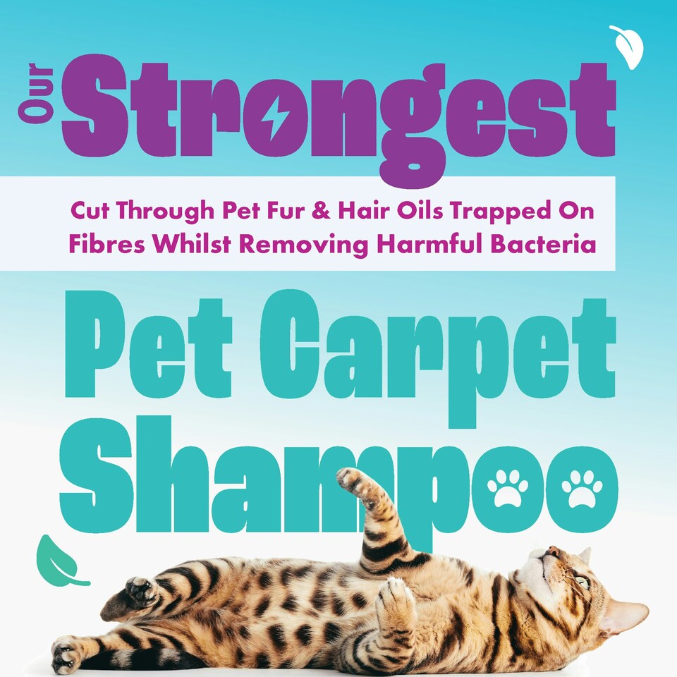 image 1 of Pet Pro Antibacterial Carpet Cleaning Shampoo (1L)