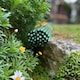 image 3 of Plastic Coated Metal Garden Plant Support Sticks (60cm) - Pack of 40