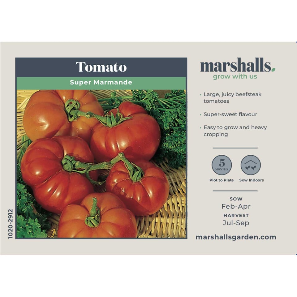 image 1 of Marshalls Garden Super Marmande Tomato Seeds - 55 seeds