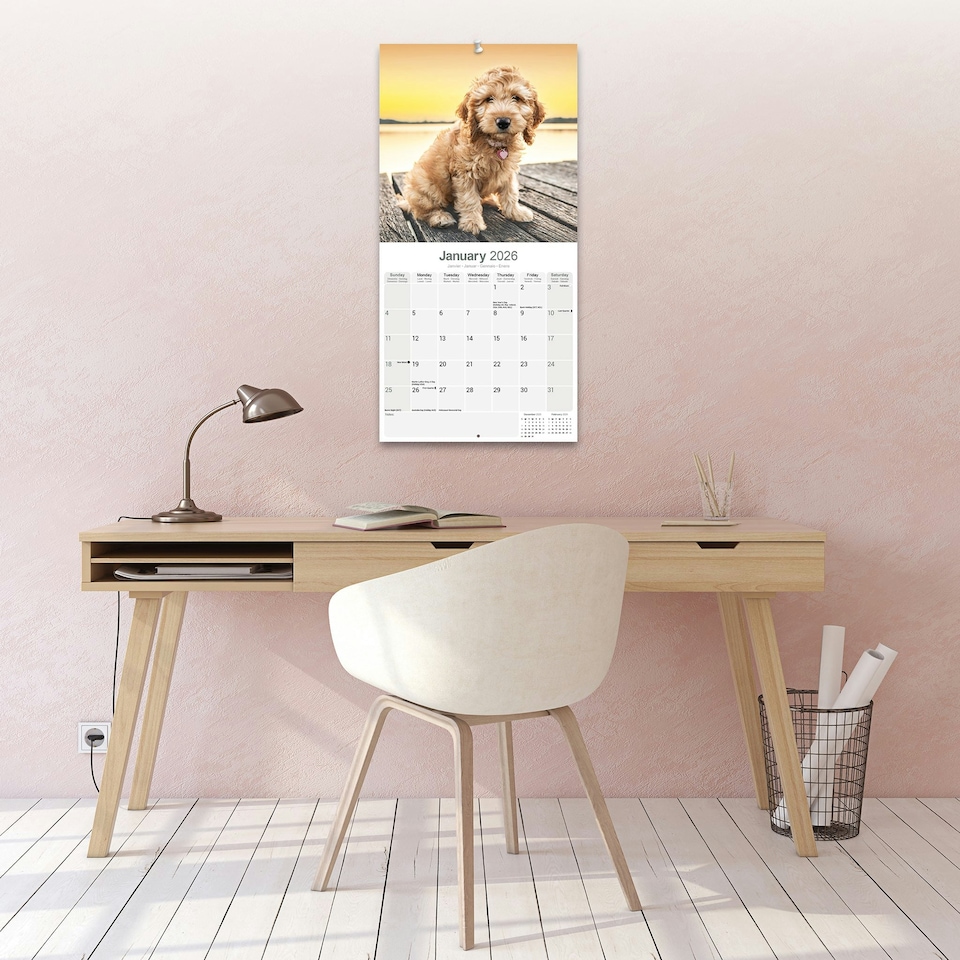 image 1 of Cockapoo 2026 Calendar | Square Wall Calendar | Dog Breed Gift | Plastic Free Packaging | by Avonside Publishing