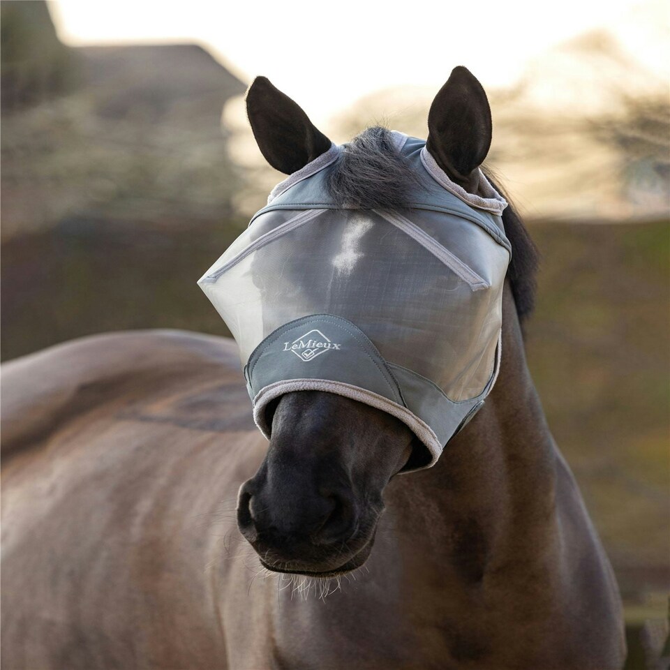 image 1 of LeMieux ArmourShield Pro Standard Fly Mask Blue | Small