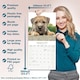image 6 of Border Terrier 2026 Calendar | Square Wall Calendar | Dog Breed Gift | Plastic Free Packaging | by Avonside Publishing
