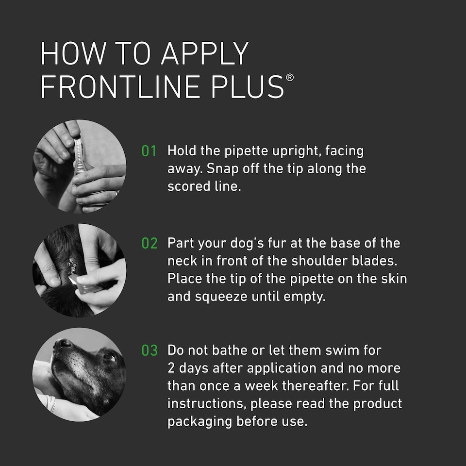 image 1 of Frontline Plus Spot On - 6 Pipettes / Medium Dog 10-20kg