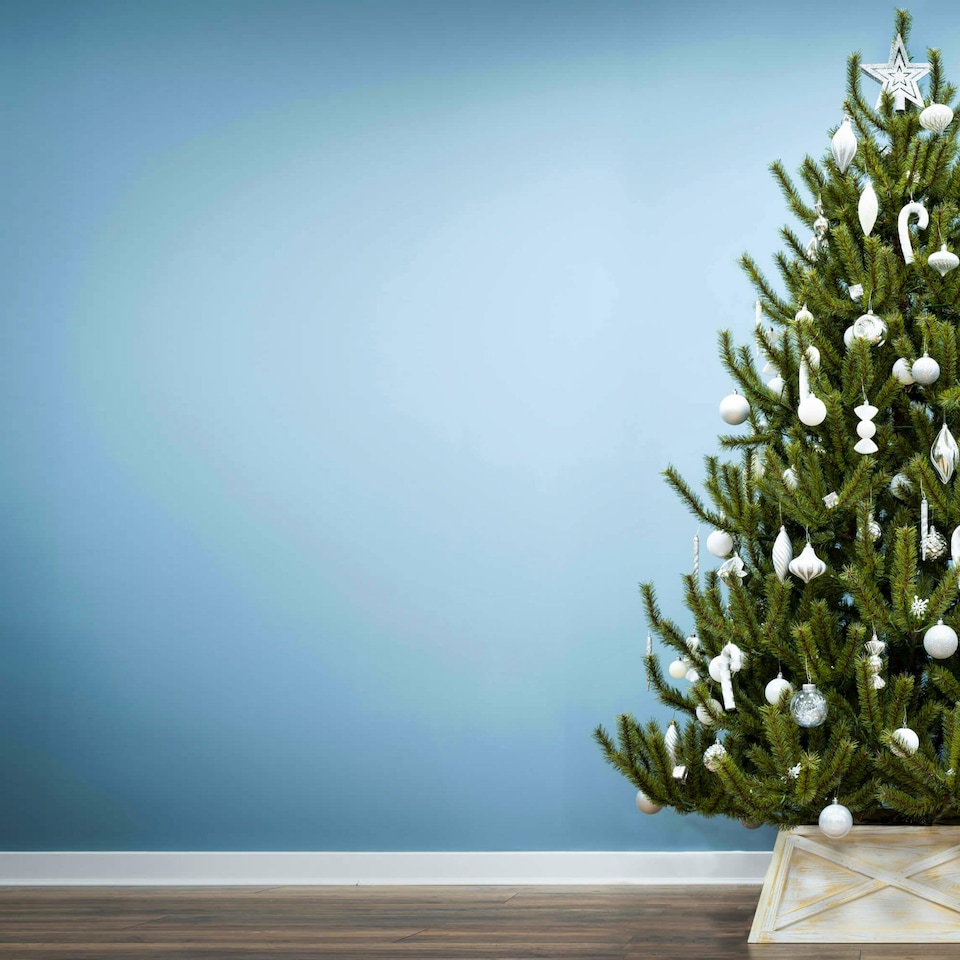 image 1 of Christmas Tree World  8ft/240cm Matterhorn Pine Christmas Tree