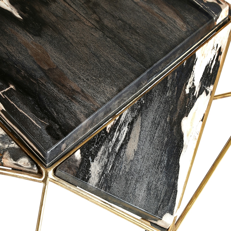 image 1 of Distinctive Dark Petrified Wood Coffee Table, Natural Design Modern Coffee Table, Elegant Decorative Table | Brown