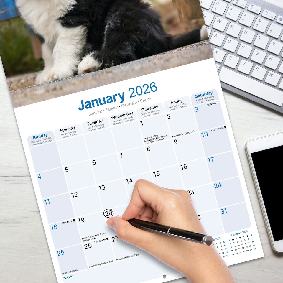 image 1 of Old English Sheepdog 2026 Calendar | Square Wall Calendar | Dog Breed Gift | Plastic Free Packaging | by Avonside Publishing