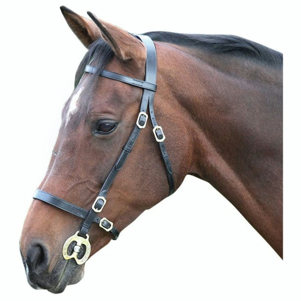 Blenheim Leather Plain Horse Inhand Bridle - Black - Shetland