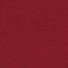 Sanctified Violence Hardback Book