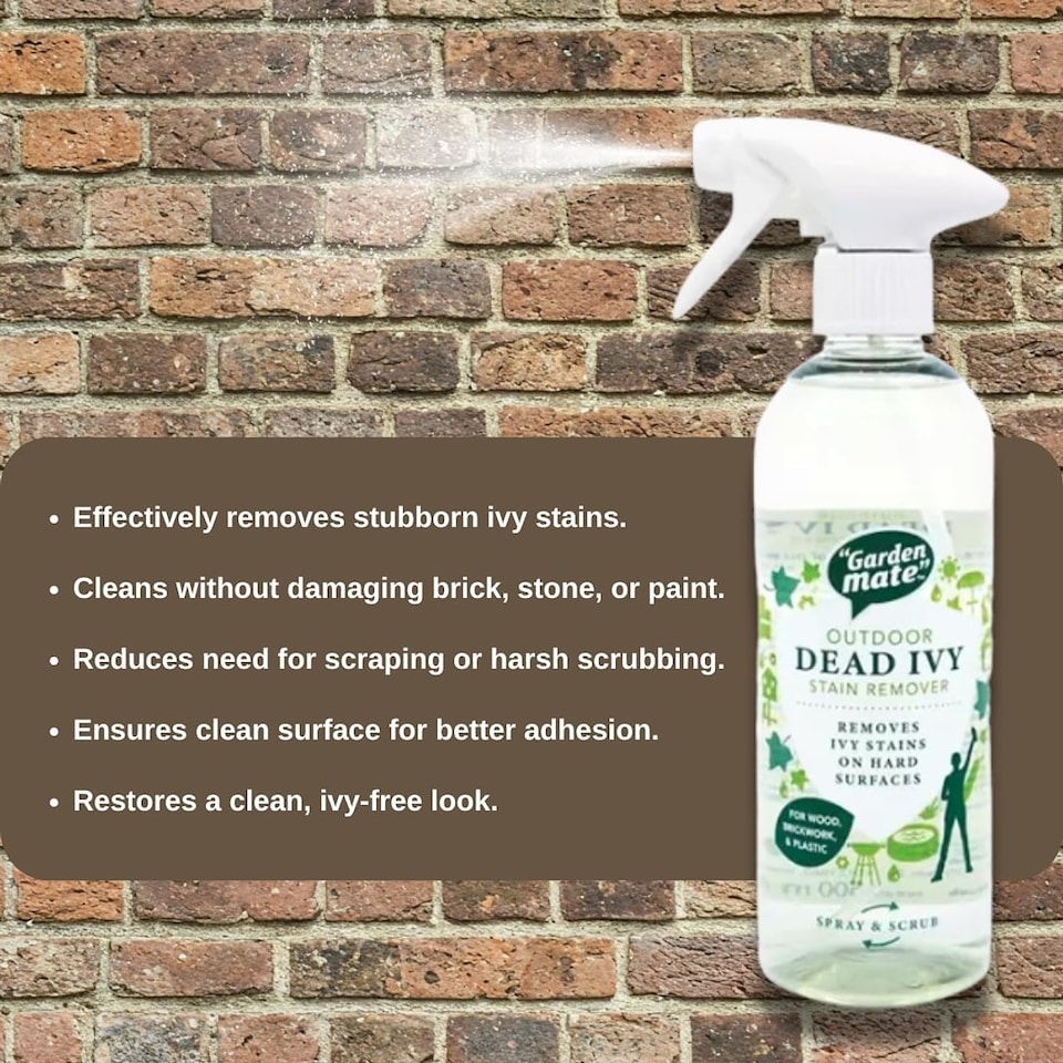 Garden Mate Dead Ivy Stain Remover 500ml - Tesco Groceries