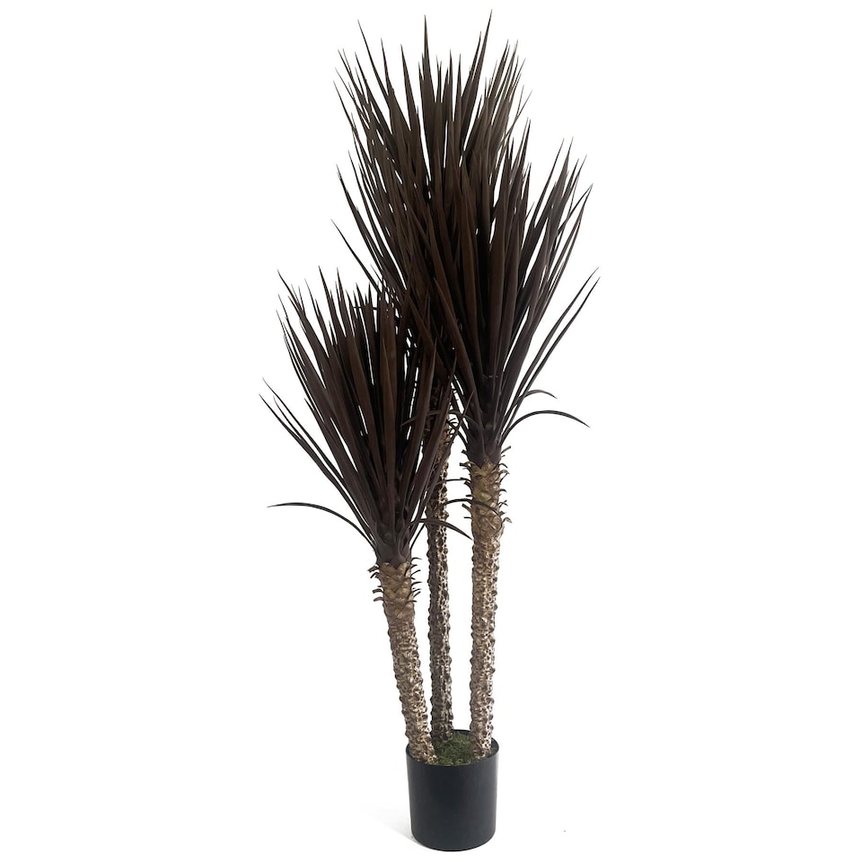 image 1 of Artificial Yukka Tree Plant Spiky UV Resistant Outdoor Tree Triple Dark Red and Brown Botanik | Brown | 5ft