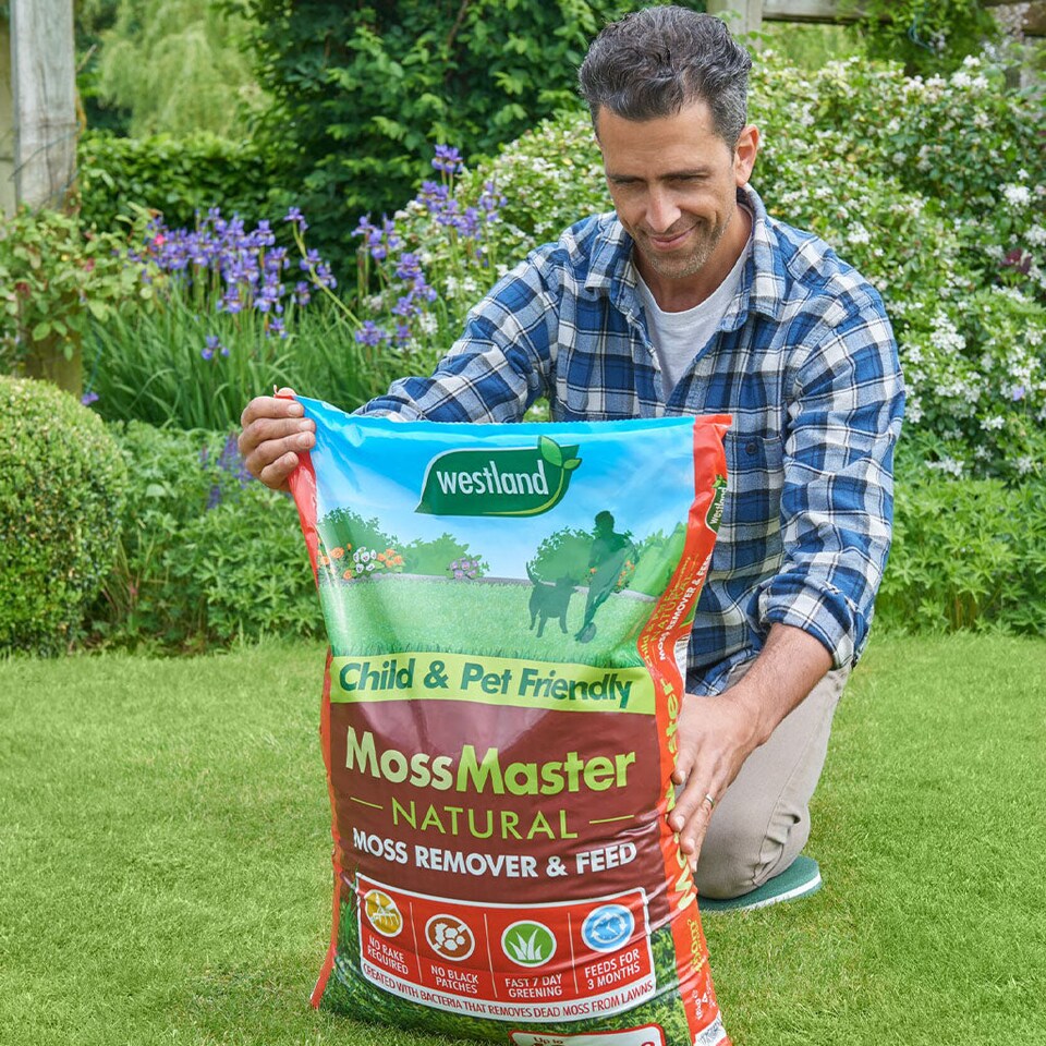 image 1 of Westland Moss Master Natural Moss Remover and Slow-Release Lawn Feed 400 sqm